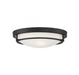 2-Light Ceiling Light in Matte Black