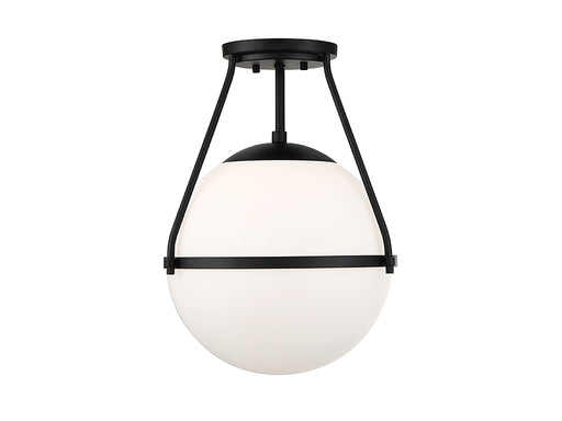 1-Light Ceiling Light in Matte Black