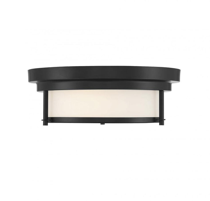 2-Light Ceiling Light in Matte Black