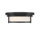 2-Light Ceiling Light in Matte Black
