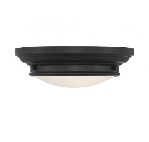 2-Light Ceiling Light in Matte Black