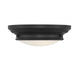 2-Light Ceiling Light in Matte Black