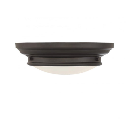 2-Light Ceiling Light in Oil Rubbed Bronze