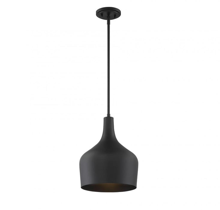 1-Light Pendant in Matte Black