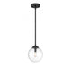 1-Light Pendant in Matte Black