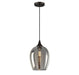 1-Light Mini Pendant in Oil Rubbed Bronze