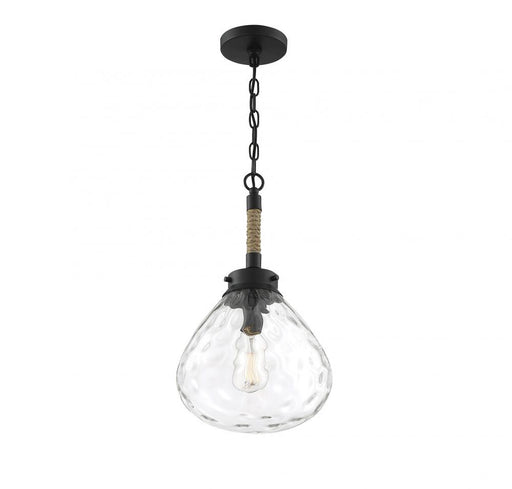 1-Light Pendant in Matte Black