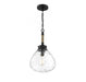 1-Light Pendant in Matte Black