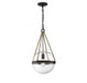 1-Light Pendant in Oil Rubbed Bronze