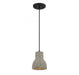 1-Light Mini Pendant in Concrete with Matte Black