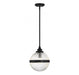 1-Light Mini Pendant in Matte Black