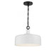 1-Light Pendant in White with Black