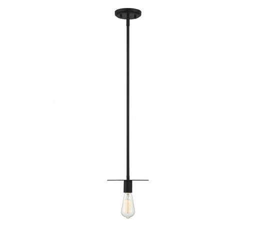 1-Light Mini Pendant in Matte Black