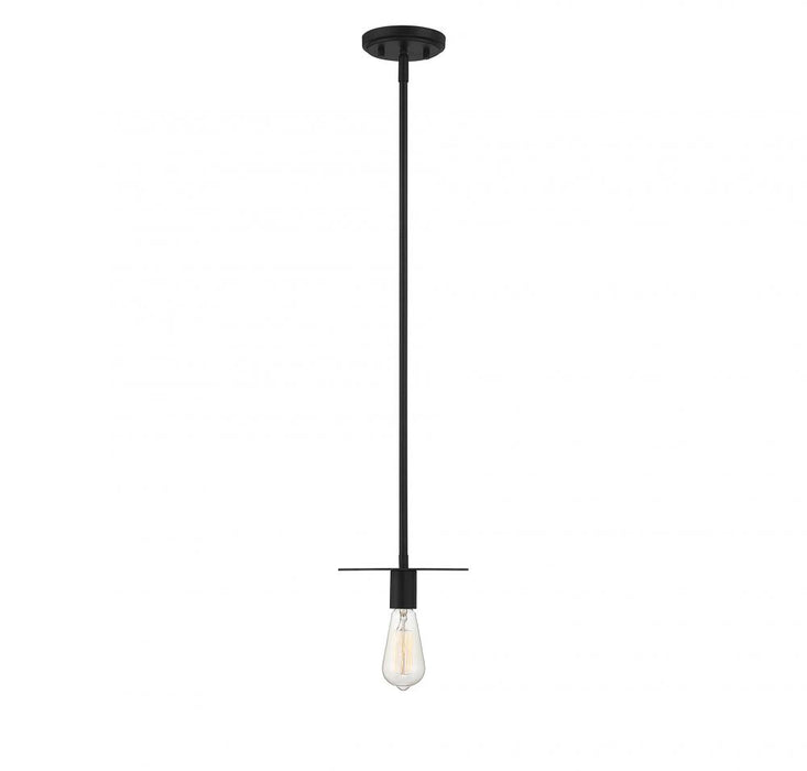 1-Light Mini Pendant in Matte Black