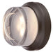 1 LIGHT LED WALL SCONCE (CONVERTIBLE TO FLUSH MOUNT)