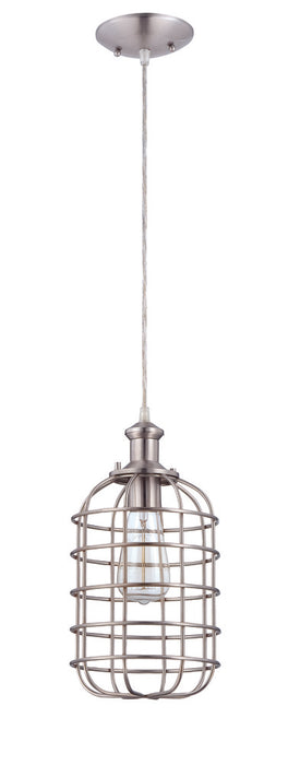 1 Light Mini Pendant w/Wire Cage