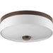 P3610-2030K9 1-17W LED 3000K FLUSH MOUNT