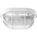 P3706-30 1-100W MED FLUSH MOUNT