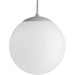 P4402-29 1-100W MED PENDANT