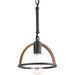 P5315-71 1-60W MED MINI-PENDANT