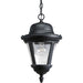 P5530-31 CHAIN HUNG LANTERN 1-100W MED