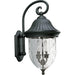 P5829-31 2-60W CAND WALL LANTERN