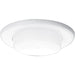 P8009-60 DROP OPAL SHOWER LT TRIM