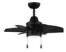 24" Ceiling Fan w/Blades, LED Light Kit