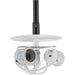 P5199-31 3-100W MED STEM MOUNT PENDANT