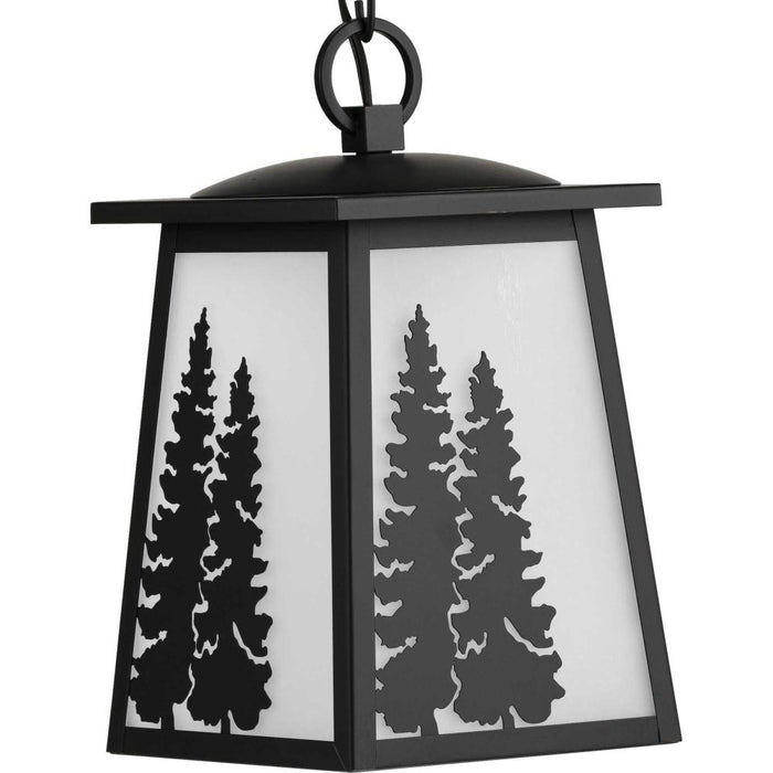 P550060-020 1-100W MED HANGING LANTERN