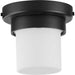 P550071-031-30 1-9W LED FLUSH MOUNT