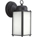 P5985-31MD 1-100W MED WALL LANTERN