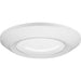 P810012-028-30 FLUSH MOUNT