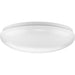 P810026-030-30 14-INCH Cloud Lens