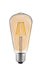 ST19 Warm White 2700K LED 8W Light Bulb