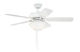 42" Fan w/Blades & LED Light Kit (Express Install)