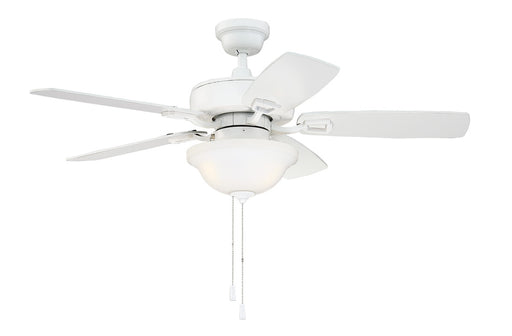 42" Fan w/Blades & LED Light Kit (Express Install)