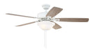 52" Fan w/Blades & LED Light Kit (Express Install)