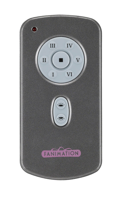 Hand Held DC Motor Remote and Transmitter