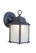 LED Outdoor Lantern, Matte Textured Black